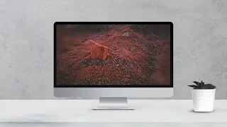 هي الدنيا ورب البيت تفنى    منوع   دندنها