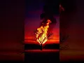 Download Lagu Alcazaba - Bob Zopp