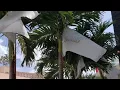 Passover on the Beach 2018