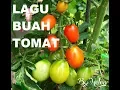 Download Lagu LAGU BUAH TOMAT
