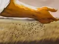 lesson 86 Parable The Sower Bible Lessons made easy AD Bible School