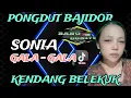 Lagu PONGDUT BAJIDOR || SONIA || KENDANG BELEKUK‼️