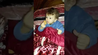 يوسف حبيبي دندنها