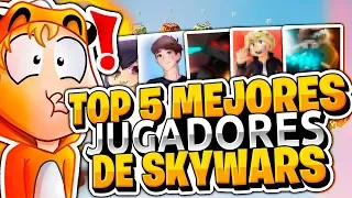 Download TOP 5 MEJORES JUGADORES DE SKYWARS 2019 MP3