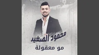 مو معقولة دندنها