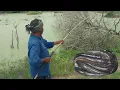 Download Lagu Fisher men Catching Snakehead fishing the best unbelievable fish hunting Video