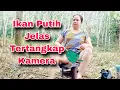 Lagu Asik juga bisa dengan puas lihat ikan.mancing mania