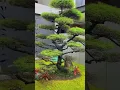 Download Lagu Taman Minimalis di Surabaya, Satu Titik Fokus Dengan Bonsai Cemara Udang #jasatamansurabaya