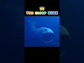 Download Lagu Bloop Of Evolution #Short #Evolution