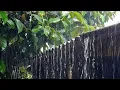 Download Lagu Zware regen 🌧️ De nummer 1 slaappil van de natuur – Miljoenen mensen vallen wereldwijd direct in