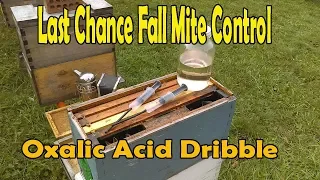 Last Chance Fall Mite Control Oxalic Acid Dribble Method