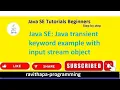 Java SE Java transient keyword example with input stream object