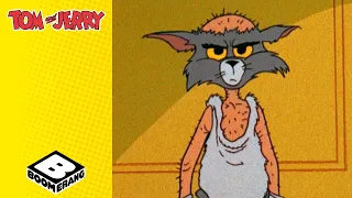 The Invisible Mouse Tom And Jerry BoomerangUK 