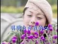 明明白白我的心 -- 永远的情歌 (Official MV)