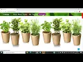 E Nursery - Django Project Python Django Major Project