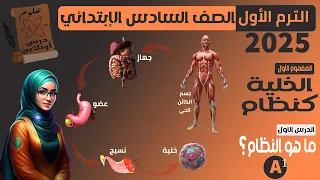 A1 علوم الصف السادس الترم الأول 2026 الوحدة الأولى المفهوم الأول الدرس الأول الخلية كنظام 