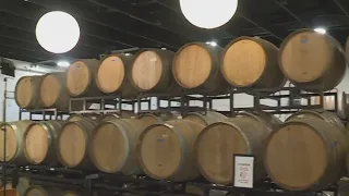 Kohr Explores Canby Beer Library opens for business
