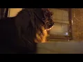window cat ep 8 Grizzy Mack "Immature" (prod. by Mr. Carmack)