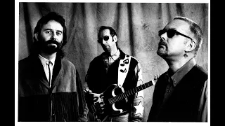 THE HAMSTERS - MY FUTURE EX-WIFE