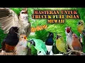 Download Lagu Masteran trucukan fuel isian mewah terbaru 2022