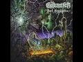 Caught in the Treads - Gatecreeper