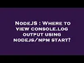 NodeJS Where to view console log output using start