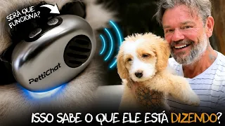 ESSA IA DIZ O QUE SEU CACHORRO ESTÁ FALANDO! 🤯🐶