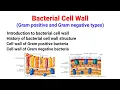 Bacterial Cell Wall Gram positive Gram negative bacteria cell wall Structure Salient features