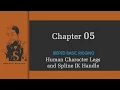 Maya Basic Biped Rigging Chapter-5