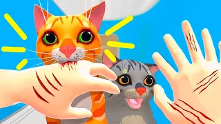 GATO Latino 🙀ME ATACA!! Increíble