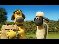 Lagu Fun and Friendship on the Farm 🌻 | Shaun the Sheep Compilation