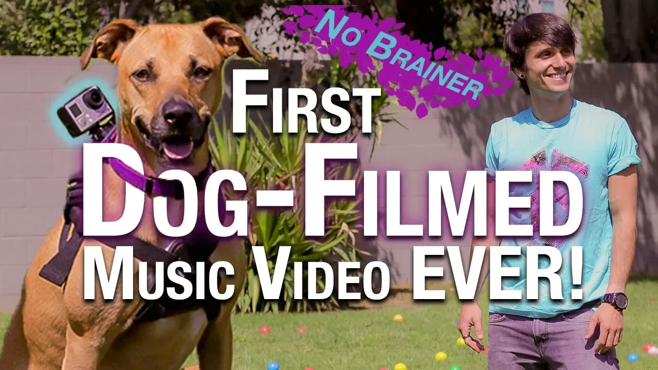 DJ Khaled - No Brainer ft. Justin Bieber, Chance the Rapper (Future Sunsets) | David Michael Frank