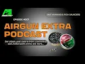 Download Lagu Airgun Extra Podcast | Owl attack, swimming pool pest control and hollow point ammo