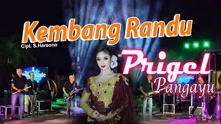 Download Prigel Pangayu - Kembang Randu (Official Music Vidio) MP3