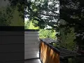 Portland Apartment Finder - Galaxy Sellwood Apartments Portland Oregon
