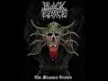 Download Lagu Black Edifice - Seven Maledictions (Outro)