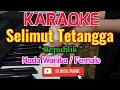 Download Lagu Selimut Tetangga Karaoke - Karaoke Selimut Tetangga - Republik