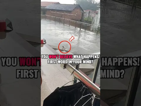 This Tiny Puppy Never Gave Up in the Rain! 🥺❤️