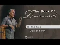 The Trap - Daniel 6 1-14