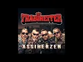 Download Lagu Trabireiter - AssiHerzen (2018) Full Album
