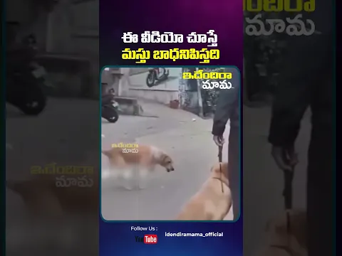 ఈ వీడియో చూస్తే మస్తు బాధనిపిస్తది #stayinnovative #innovativeideas #funnyreels