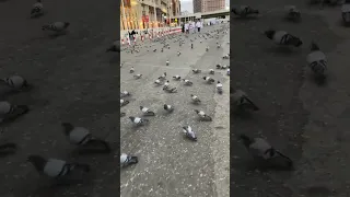 ولي أمل بربي لايخيب يوسف الأيوب 