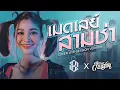 Download Lagu เมดเลย์ สามช่า - [Cover Livesession Version แบม ไพลิน x วง สำราญชน]