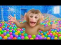 Download Lagu Monkey DoDo Has No Rainy Day Outfit And Bathes In A Tub Full Of Colorful Balls! 🌈💖| DODO MONKEY LIFE
