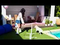 Valkyrae and Mika ABSOLUTELY CRUSHED it at the Dog Parkour