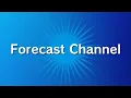 Wii Forecast Channel globe(night) well-looped for 10 hours