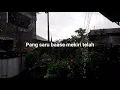 Download Lagu Rindik Masan Hujan