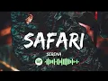J Balvin - Safari ft. Pharrell Williams, BIA, Sky (Official Video)