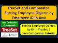 TreeSet and Comparator Sorting Employee Objects by Employee ID in Java