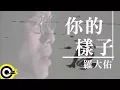 Download Lagu 羅大佑 Lo Da-Yu【你的樣子】電影『又見阿郎 All About Ah-Long』插曲 Official Music Video